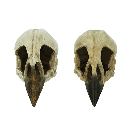 Assorted 7.8&#x22; Raven Skull Decoration by Ashland&#xAE;